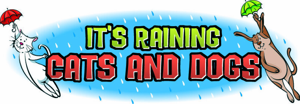 It’s raining cats and dogs at Carrollton village hall