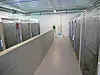 A narrow shelter hallway with metal kennels on both sides and a cinderblock half-wall.