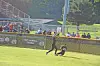 Two baseball players near the outfield wall with fans seated in the background.
