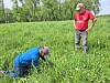 Two people in a green crop field, one kneeling to inspect plants and the other standing nearby.