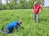 Two people in a green crop field, one kneeling to inspect plants and the other standing nearby.