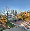 Fallen tree blocking a residential street beside homes, sidewalks, and bare winter trees.