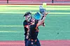 Catcher in black gear reaches for a pop-up on a baseball field.