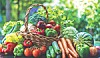 Wicker basket of produce with tomatoes, peppers, broccoli, carrots, cucumbers, grapes, and watermelon outdoors.