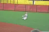 A player in a white uniform sits on green outfield grass near a red fence.