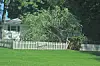 White house behind a picket fence with a large tree and grassy yard.
