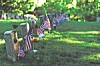 A row of grave markers in grass with small American flags placed beside them.