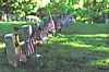 A row of grave markers in grass with small American flags placed beside them.