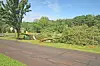 Rural road beside a wooded area with fallen and damaged trees on a grassy slope.