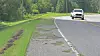 A car drives on a curving road beside a grassy shoulder and trees.