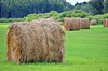 Round hay bales in a green field with trees and hills behind them.