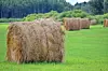 Round hay bales in a green field with trees and hills behind them.