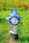 Blue fire hydrant on grass with a warning ring and landscaped plants behind it.