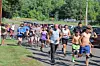 A group of runners races along a road beside a grassy area and trees.
