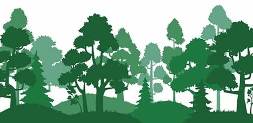 Trees