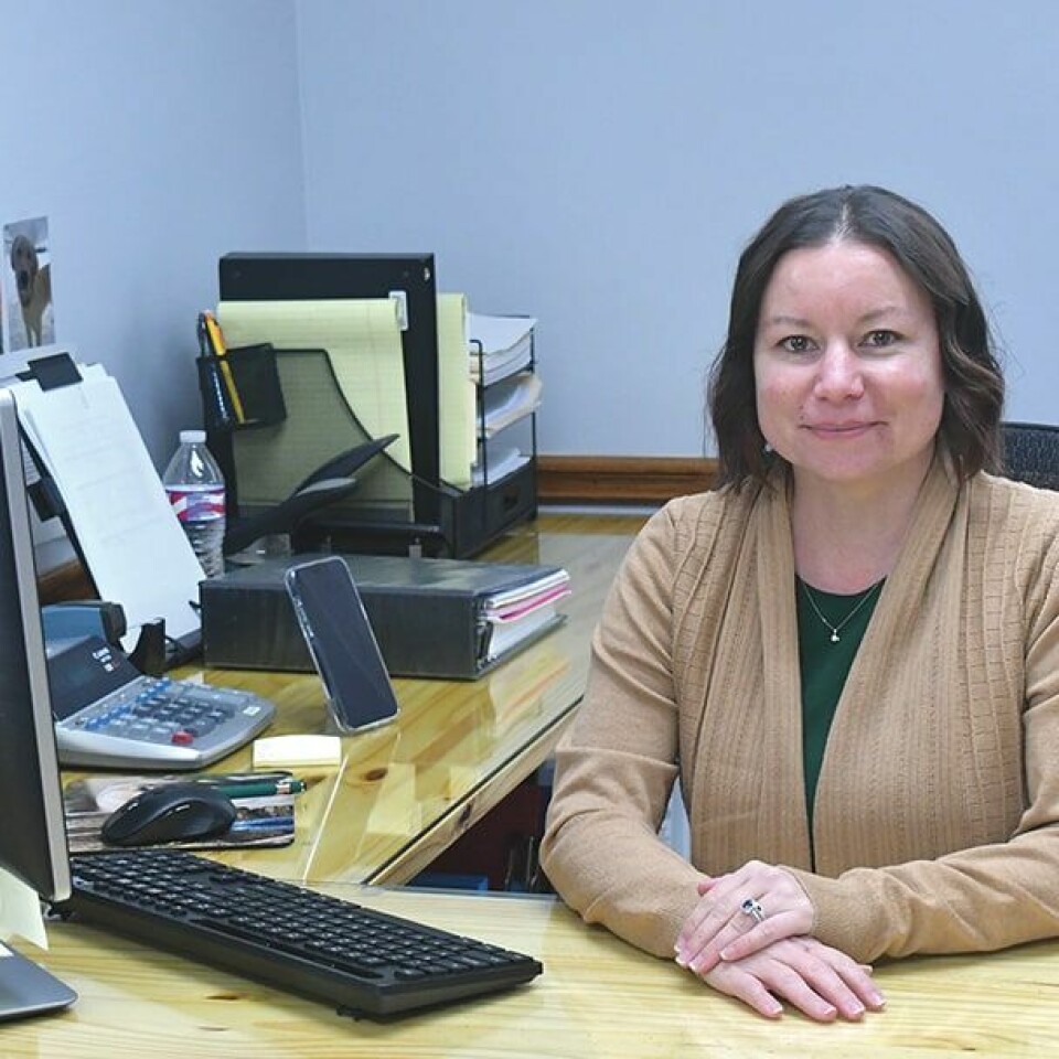 CCM/Carol McIntireMary Lipinsky is ready to meet the tax and accounting needs of area residents in her new business, Bedrock Tax Service, on Canton Rd. in Carrollton.