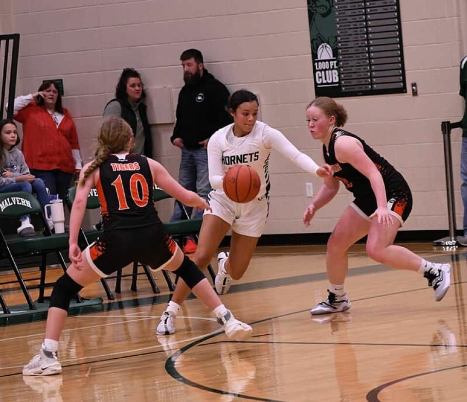 CCMCarol McIntireHornet Whitney Smith (white uniform) takes advantage of an opening between Wellsville defenders Bella Poppelreiter (10) and Myleigh Jackson enroute to the basket during a Dec. 30 contest played at Malvern.