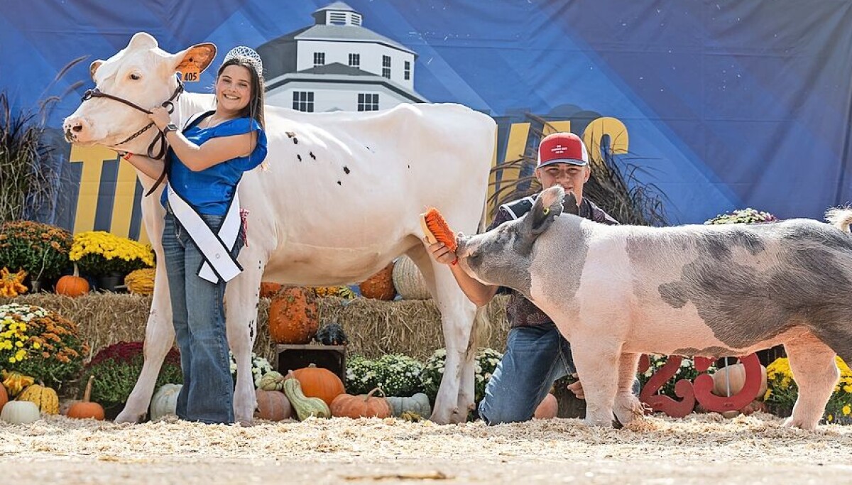 Kin County Logo 12 compete for 2026 Tuscarawas County Fair king and queen