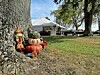 Holmes County Home Benefit Auction set for Sept. 18-19