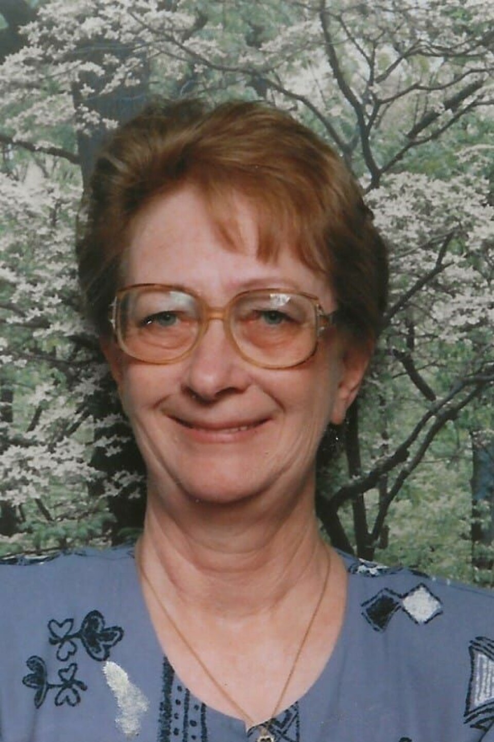 Carol L. Vint