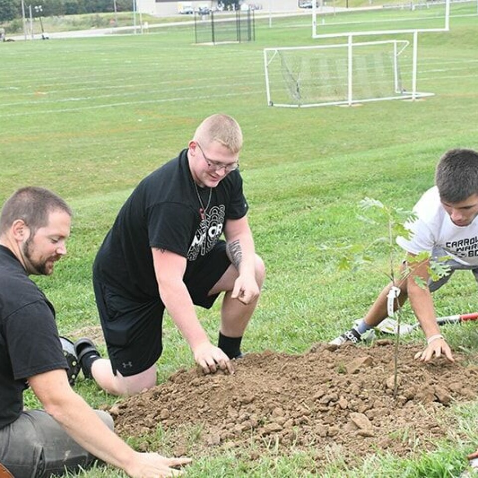 CCM/ Carol McIntire Carrollton High School teacher Seth Halfhill (left) instructs students Landyn Jackson (center) and Quentin Rosenberger on the correct procedure to plant a tree. Jackson is a junior and Rosenberger a senior. The tree is a white oak.