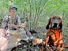 Strasburg coonhound helps hunters recover wounded deer