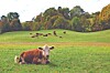 Tuscarawas County launches land-use planning initiative