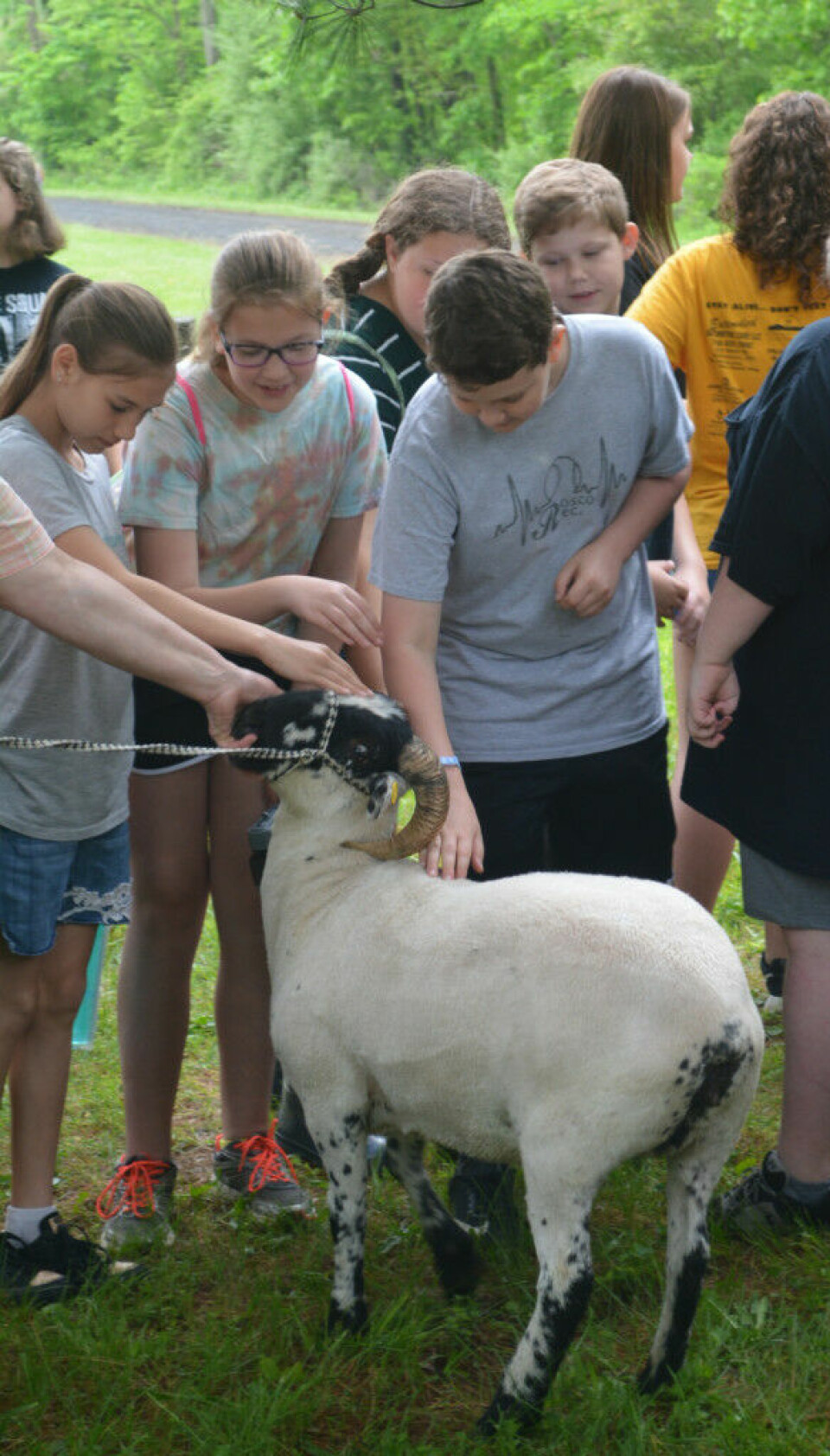 Hundreds enjoy AEP’s outdoor educational event