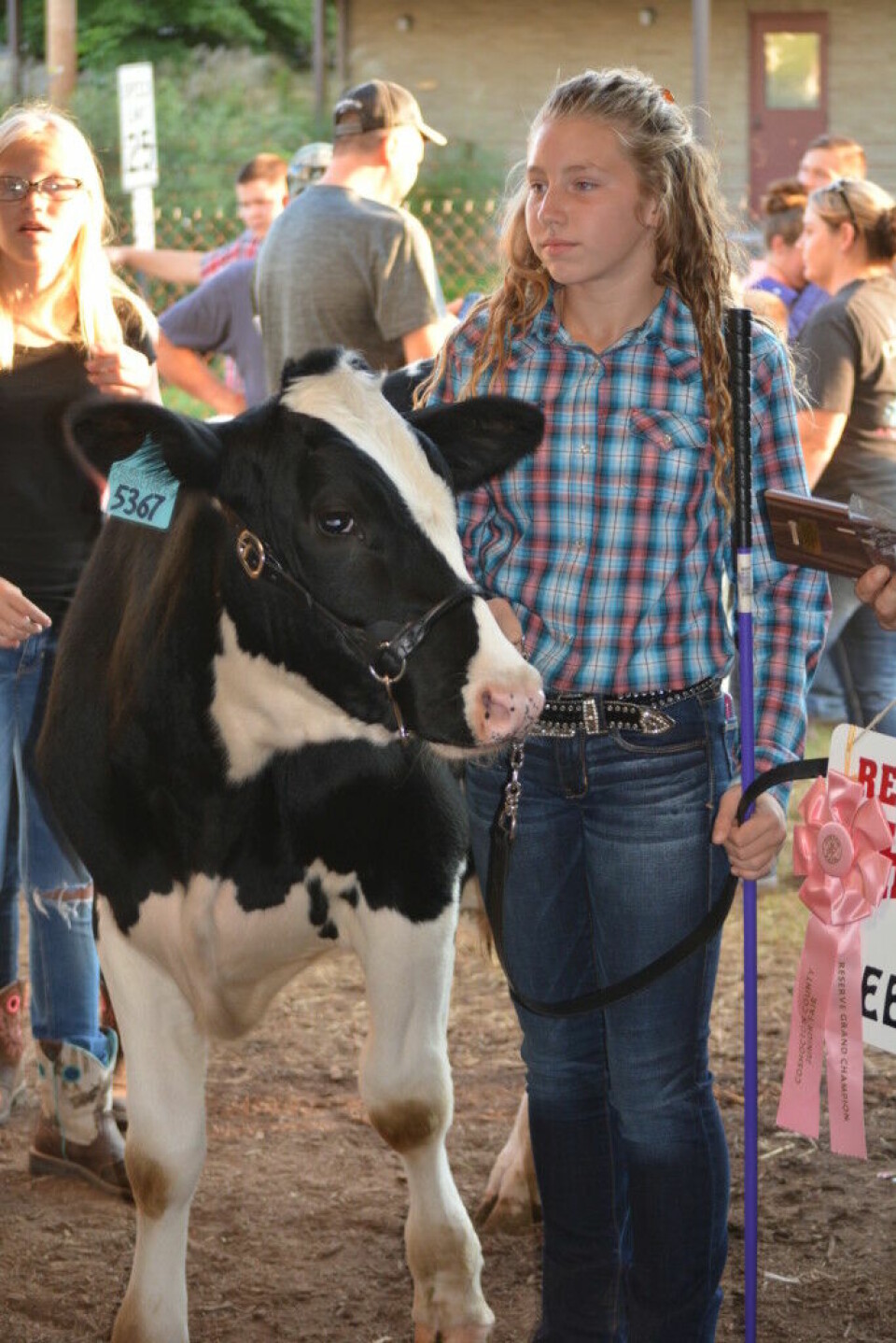 Junior fair auction raises money for area youth Madalyn Cutshall has a quiet moment with her Reserve Grand Champion Dairy Feeder Calf before auctioning it off at the Junior Fair Livestock Auction on Thursday evening Oct. 6 at the Coshocton County Fair. Josie Sellers | Beacon