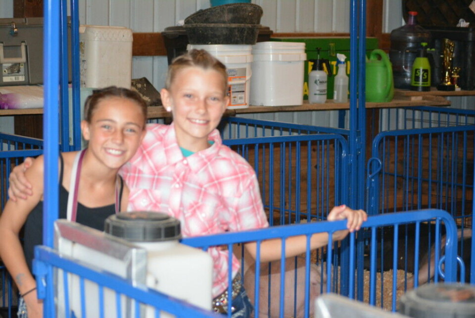 Pee wee hog class lets youngsters experience showing animals DSC_0109