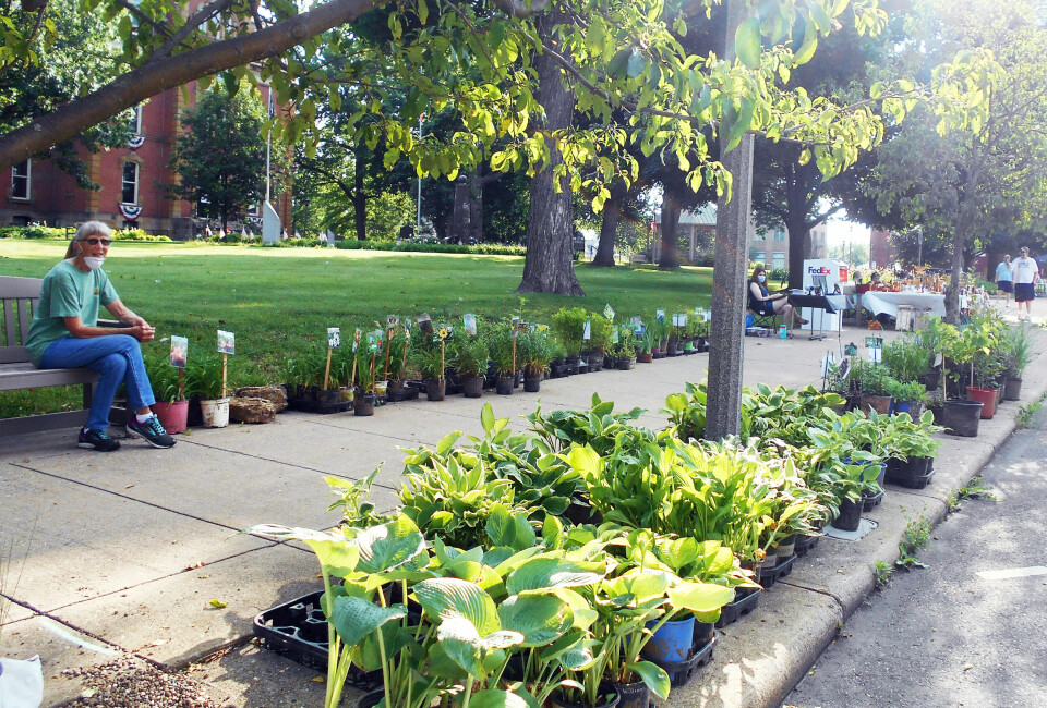 Farmers markets are up and running