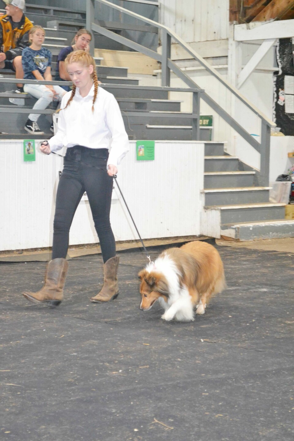 Dog show, kiddie tractor pull part of Sunday fun at the fair