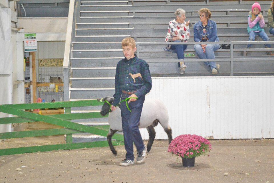 Kids enjoy showing off sheep in lamb lead class