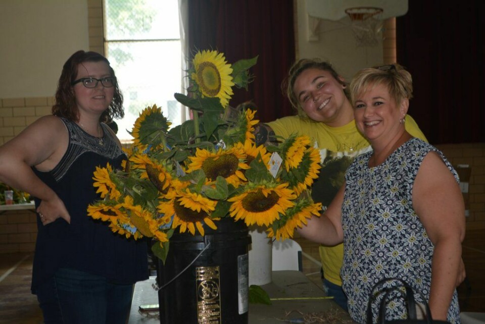 Sunflower festival spreads joy even after the event