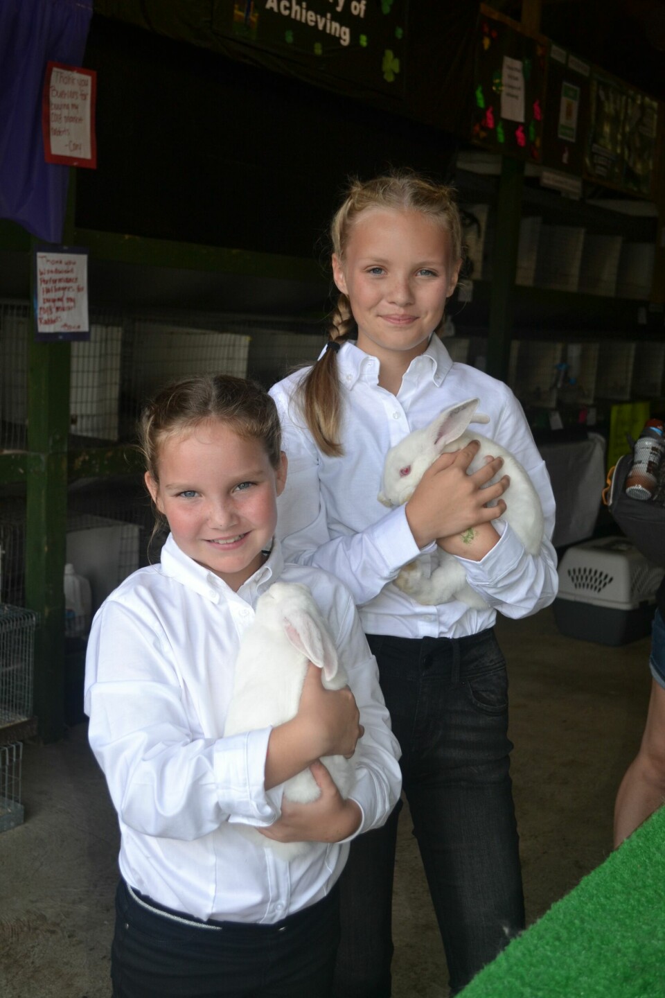 Rabbit show draws large crowd at fair