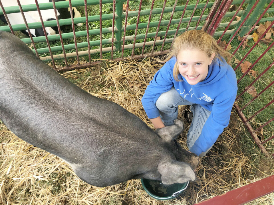 Fall foliage and farm tour draws more than 1,000 people