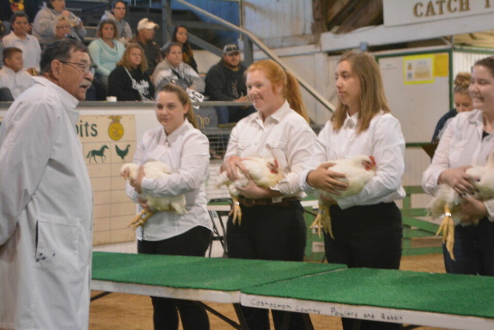 Junior fair shows only to be held at 2020 fair