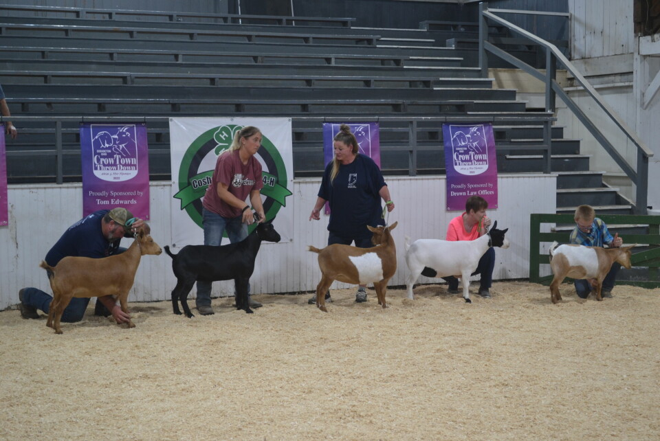 CrowTown ThrowDown Goat Show draws entries from several states