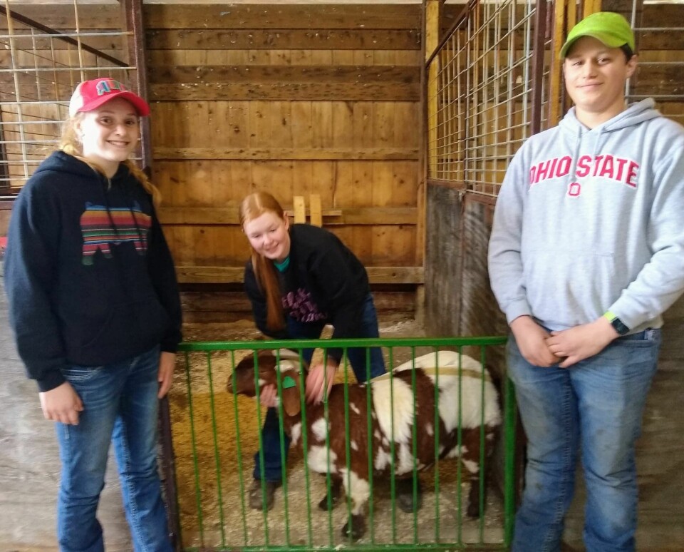 4-H Fun Day held at fairgrounds