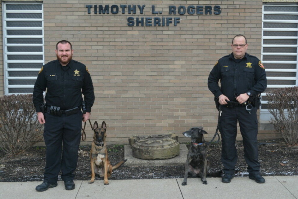Sheriff’s office K9s receiving protective vests from non-profit organization