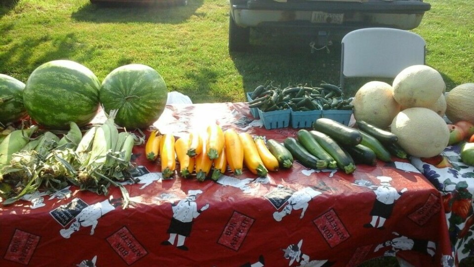 Farmers markets offer locally-grown food