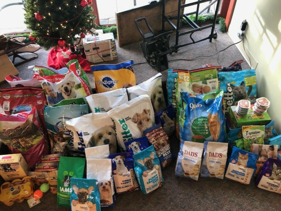 Beacon has successful pet food drive