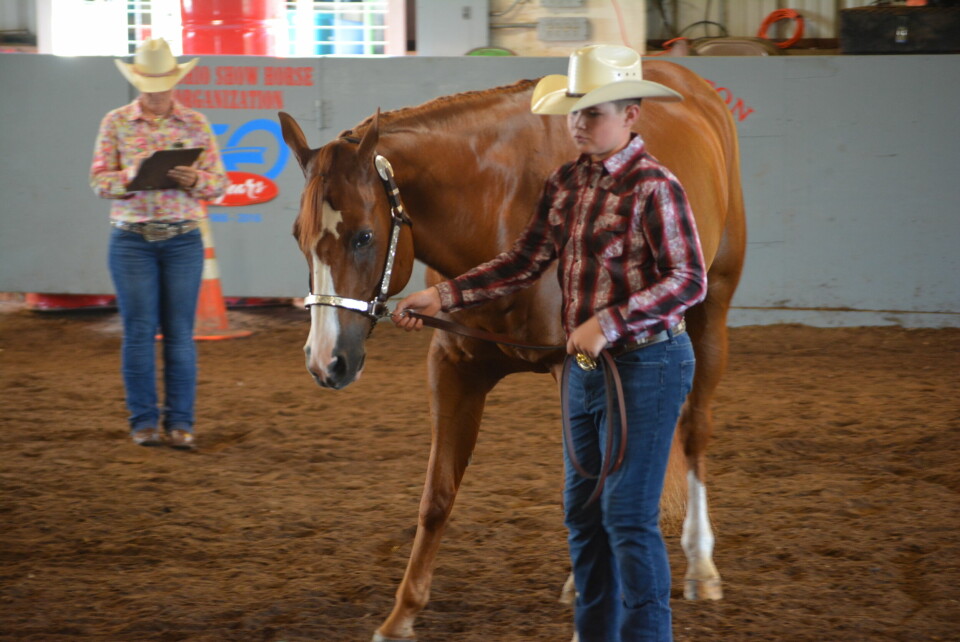 Wesney earns grand champion supreme showmanship title at horse show