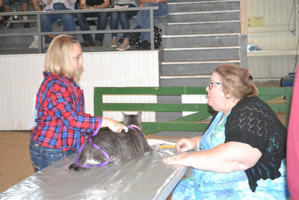 Small animal show tests owner’s knowledge of pets