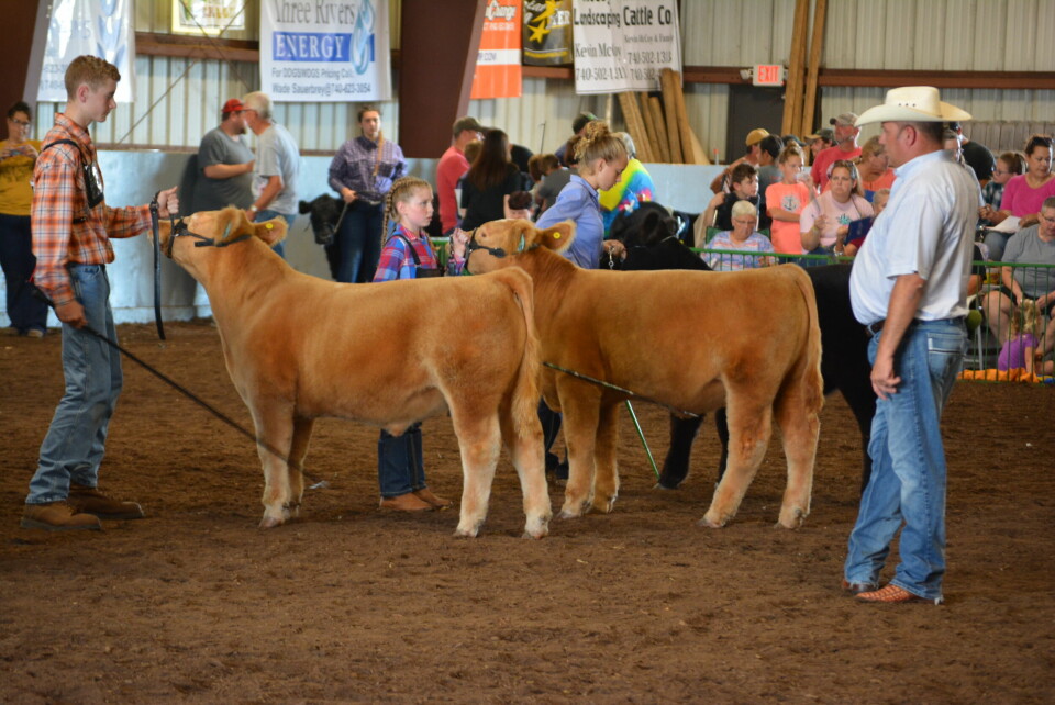 Fair board announces plans for 2020 fair