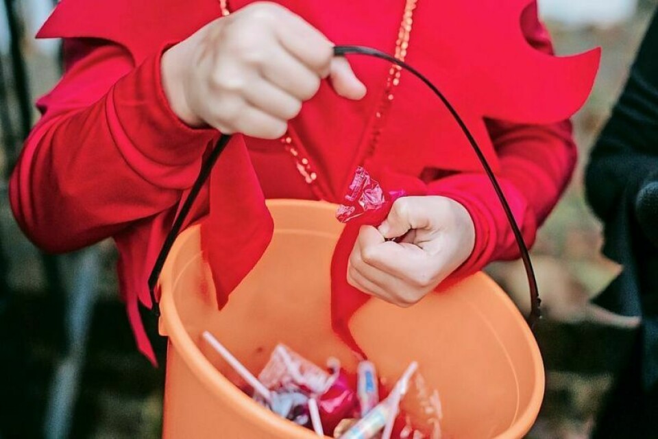 Tuscarawas County Library System will host fall festivals throughout the month of October. Libraries to host fall events throughout October
