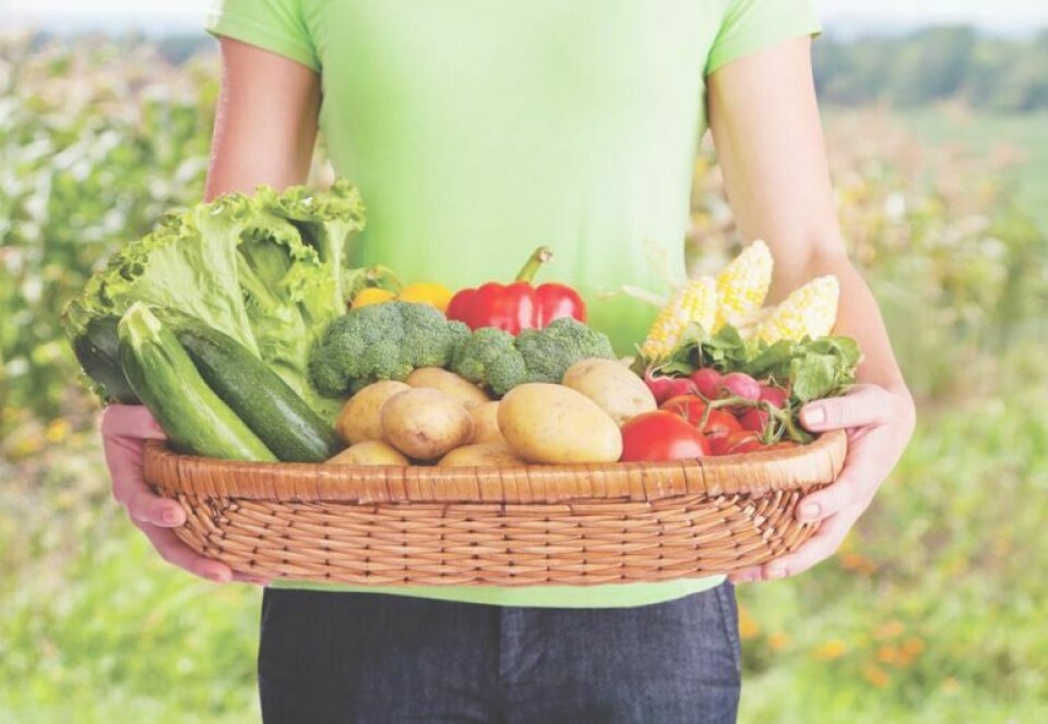 Organic Farming Conference to highlight homegrown living with hands-on sessions Nov. 6-7