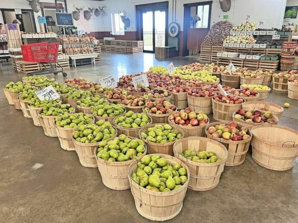 Boasting a rich history of fresh fruit production, the produce floor at Hillcrest Orchard is covered with ready-to-eat varieties. Ohio apple tradition is going strong
