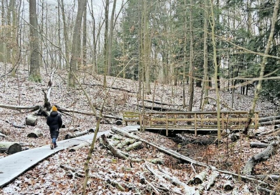 The annual Winter Hiking Challenge will begin Jan. 15 at area parks. Winter Hiking Challenge gets started Jan. 15