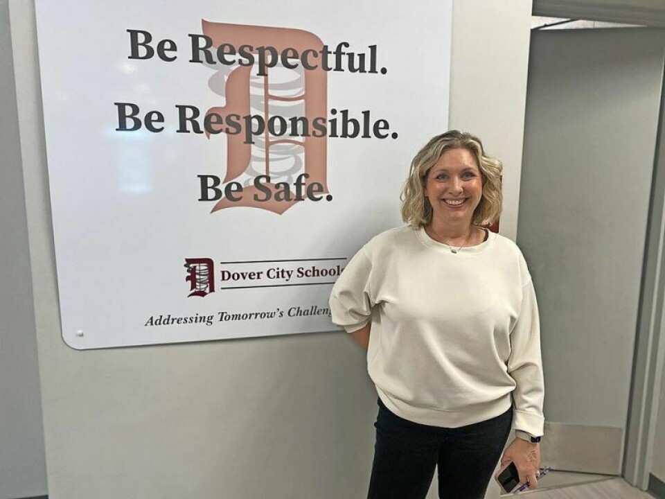 Dover High School will host a career fair on May 21 for students seeking summer jobs or postgraduate opportunities. Local businesses to offer opportunities for students